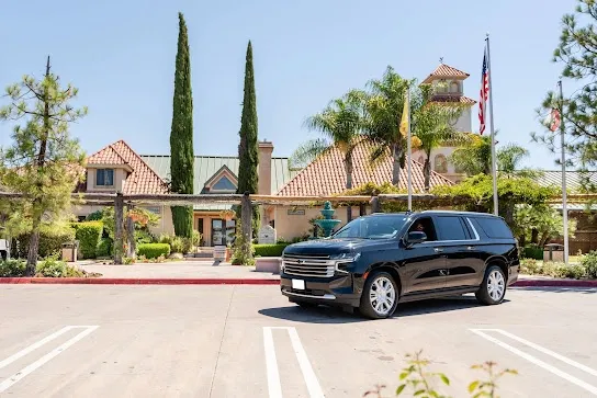Black SUV parked near a luxurious house with palm trees.