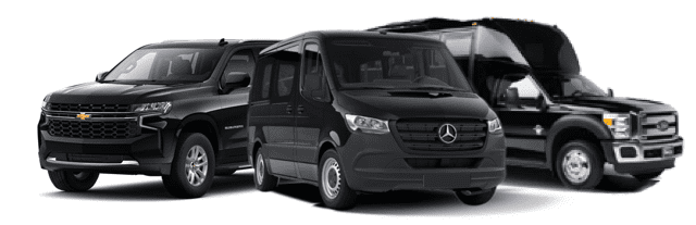 Black Mercedes-Benz vans parked side by side.